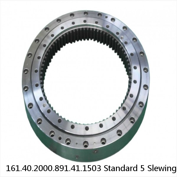 161.40.2000.891.41.1503 Standard 5 Slewing Ring Bearings