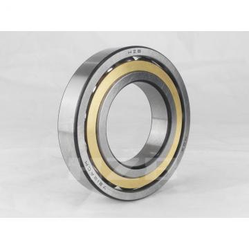 45 mm x 68 mm x 40 mm  INA NA6909-ZW Needle Roller Bearings