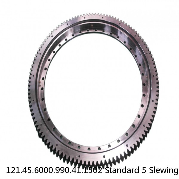 121.45.6000.990.41.1502 Standard 5 Slewing Ring Bearings