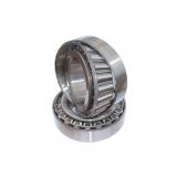 Thin Wall Deep Groove Ball Bearing with Super Quality Cost Effective Price
