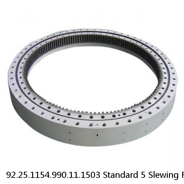 92.25.1154.990.11.1503 Standard 5 Slewing Ring Bearings #1 small image