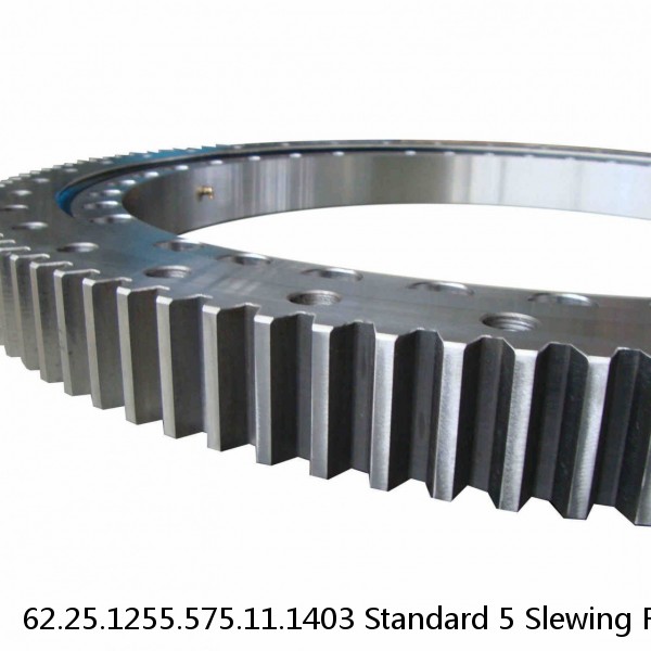 62.25.1255.575.11.1403 Standard 5 Slewing Ring Bearings #1 small image