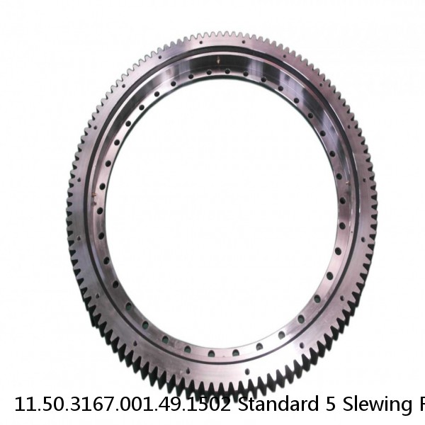 11.50.3167.001.49.1502 Standard 5 Slewing Ring Bearings #1 small image
