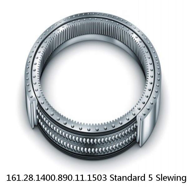 161.28.1400.890.11.1503 Standard 5 Slewing Ring Bearings #1 small image