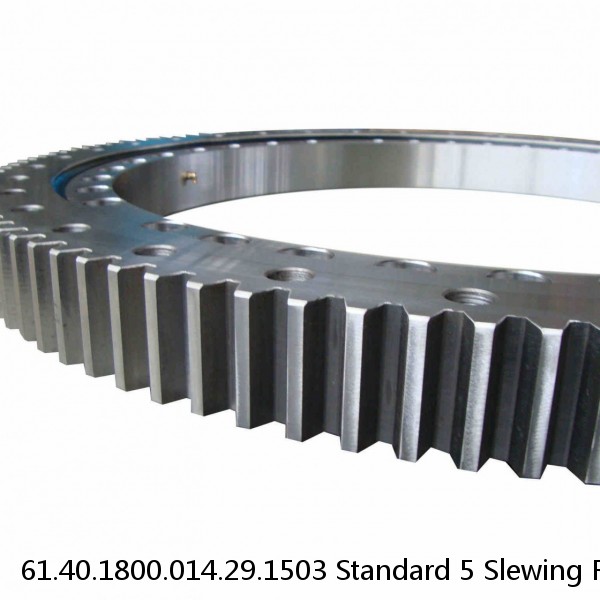 61.40.1800.014.29.1503 Standard 5 Slewing Ring Bearings #1 small image