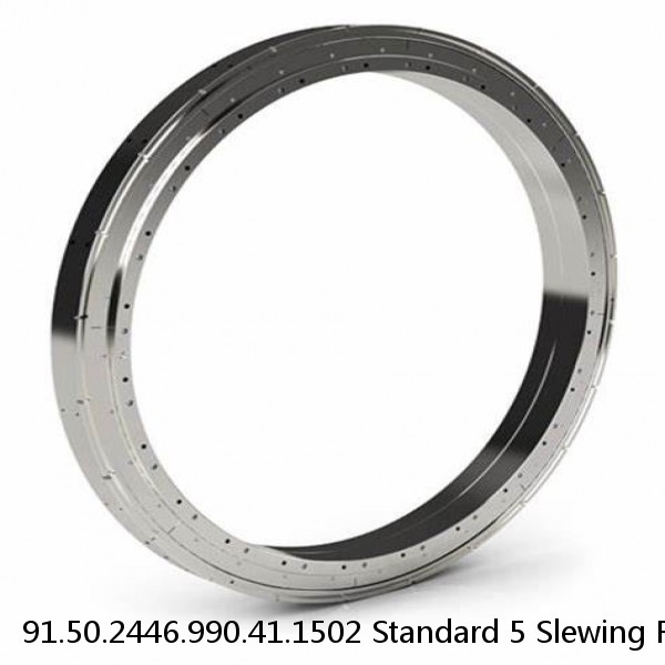 91.50.2446.990.41.1502 Standard 5 Slewing Ring Bearings #1 small image