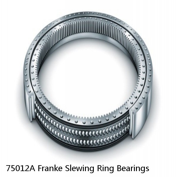 75012A Franke Slewing Ring Bearings #1 small image