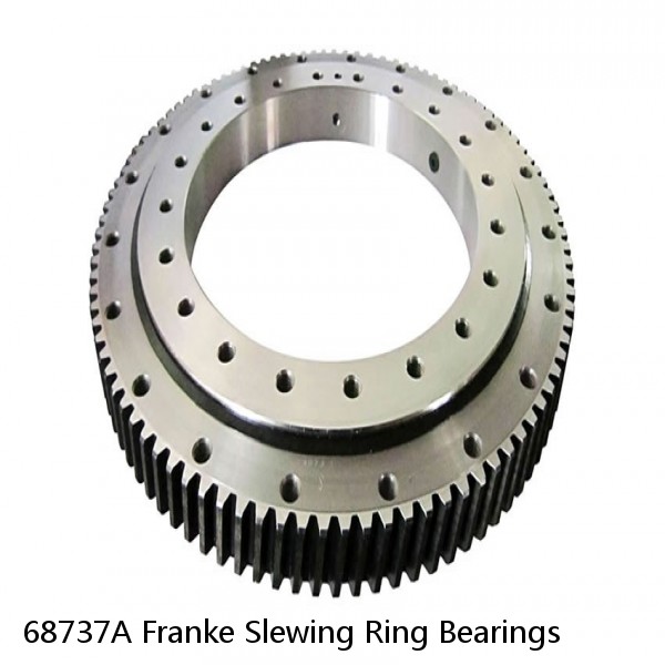 68737A Franke Slewing Ring Bearings #1 small image