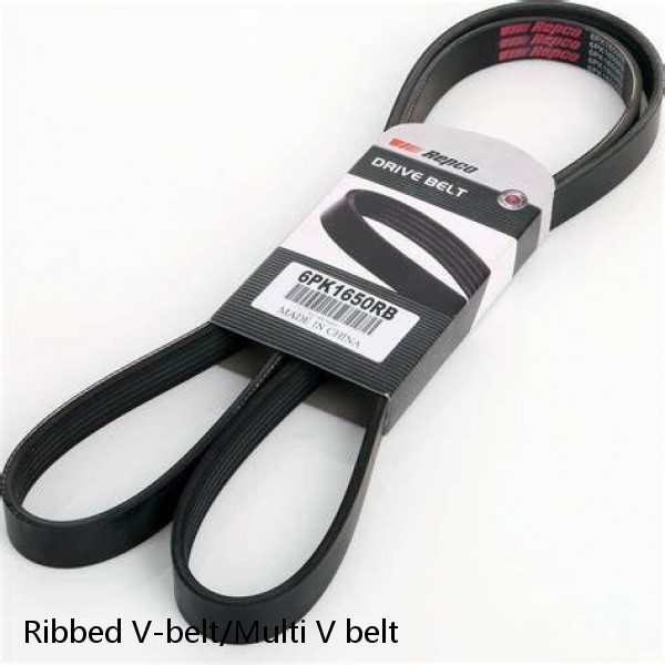 Ribbed V-belt/Multi V belt