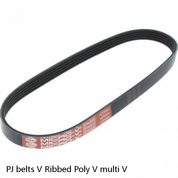 PJ belts V Ribbed Poly V multi V #1 small image