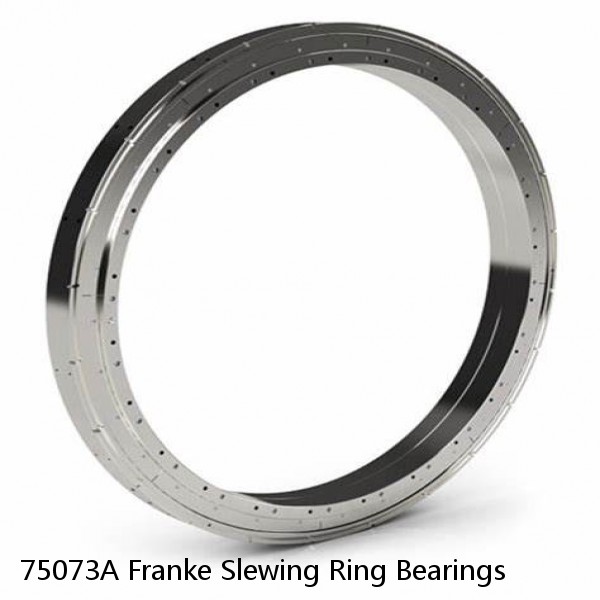 75073A Franke Slewing Ring Bearings #1 image