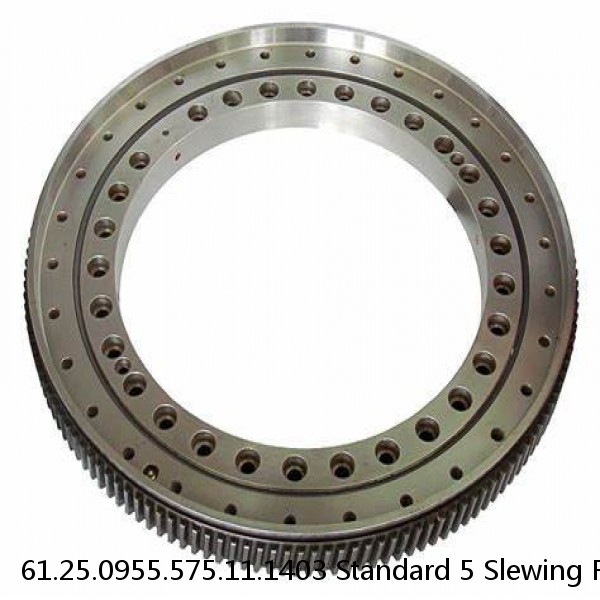 61.25.0955.575.11.1403 Standard 5 Slewing Ring Bearings #1 image