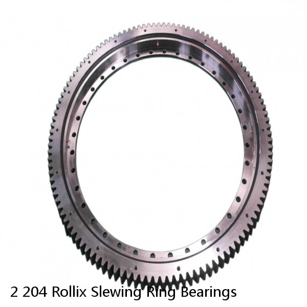2 204 Rollix Slewing Ring Bearings #1 image