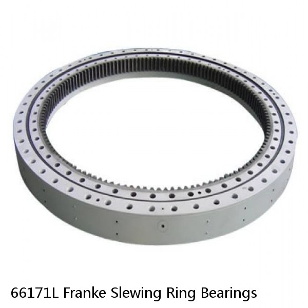 66171L Franke Slewing Ring Bearings #1 image