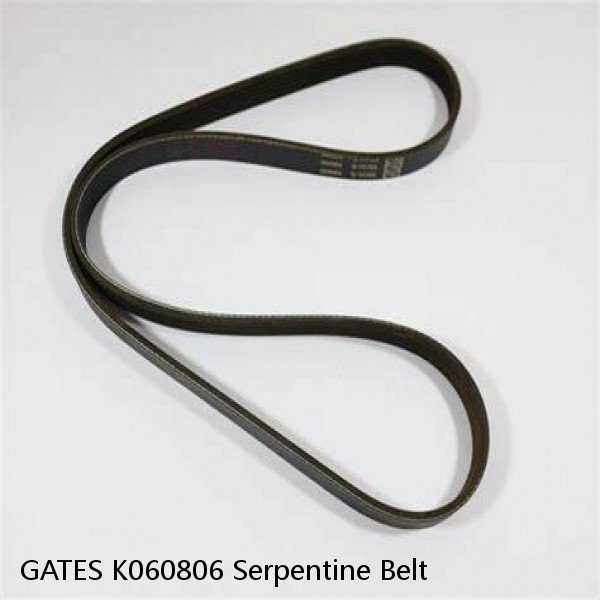 GATES K060806 Serpentine Belt  #1 image