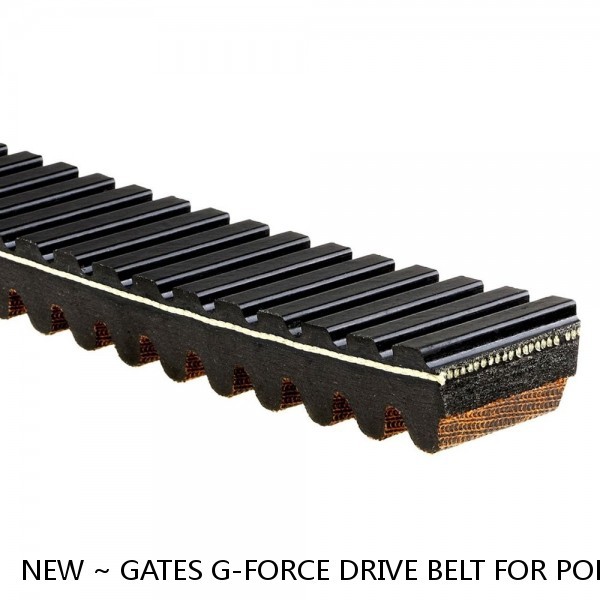 NEW ~ GATES G-FORCE DRIVE BELT FOR POLARIS RZR 800 UTV 2008 - 2012 #1 image